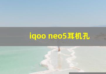 iqoo neo5耳机孔